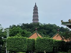 -顺峰山公园