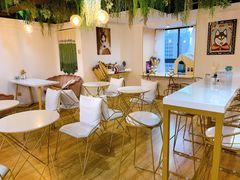 大堂-Husky Go! 哈士奇体验馆·宠物咖啡厅狗咖