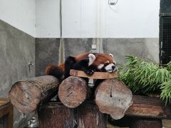 -杭州动物园