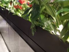 -管氏翅吧(台湾街店)