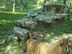 -北京野生动物园