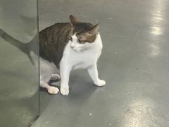 -蓝天射箭馆·专业射箭运动(诚丰广场店)