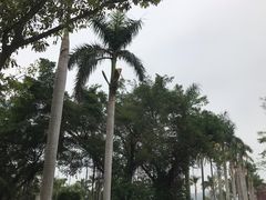 -梅溪牌坊