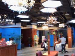 -东晨宝格丽品质造型