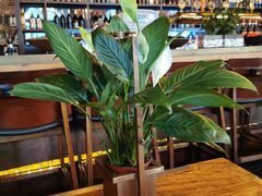 -SMOKI & CO(五大道店)