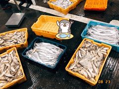 -中国舟山国际水产城