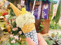 -Vola Gelato意大利手工冰淇淋(朝阳大悦城店)