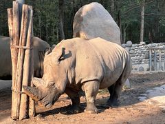 -北京野生动物园