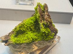 -湖南省地质博物馆