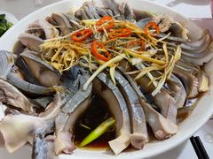 -煲来饱去冷水鱼