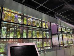 -广东中医药博物馆