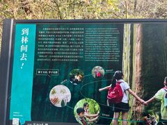 -天目山大树王景区