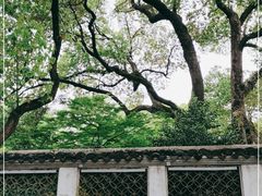 -惠山古镇·寄畅园