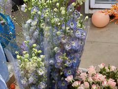 -双季花艺园艺市场(浦东店)