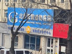 -北京观赏动物医院·24小时大型综合·猫专科·异宠专科