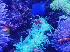 -多彩贵州城极地海洋世界