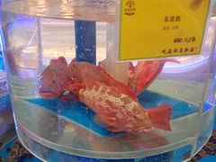-新海渔港·胶东海鲜家常菜·家宴(奥体中心店)