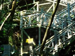 -南宁良凤江国家森林公园