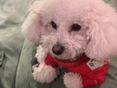 -默迹咖啡馆