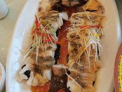 -博雅渔港·融合菜(维也纳国际大酒店)