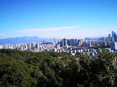 -福道