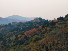 -北京西山国家森林公园