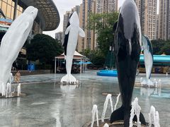 -海合安成都极地海洋公园