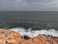 -广东惠东海龟国家级自然保护区