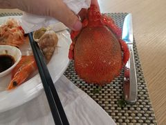 -佳源四季酒店-雅悦自助餐厅(新洲路店)