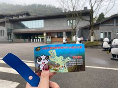 -都江堰中华大熊猫苑