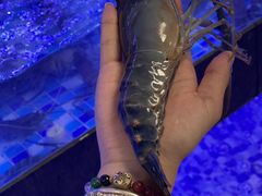 -七的湖·晚芳亭·阳澄湖农家菜·大闸蟹(莲花岛店)
