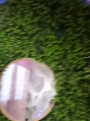 -香秀空间科技抗衰·美容中心