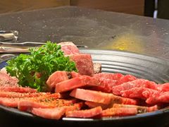 -熊出没日本烧肉放题