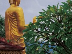 -西双版纳总佛寺