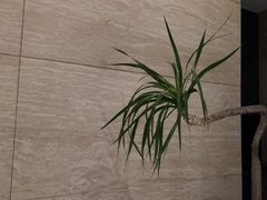 -villaa·别墅·融合菜西餐厅