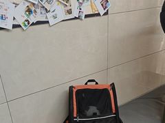 -半岛宠物医院24小时(白果林店)