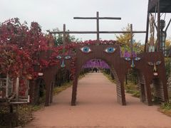 -呀路古热带植物园