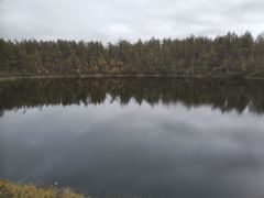 -洮儿河国家湿地公园