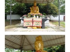 -上海佘山国家森林公园天马山园