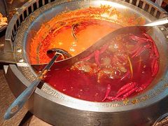 -辣伍鲜毛肚老火锅(元一店)