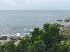 -广东惠东海龟国家级自然保护区