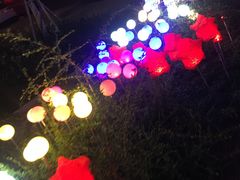 -三亚红色娘子军演艺公园景区