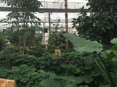 -汤山翠谷生态餐厅