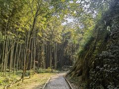 -江西龙虎山景区