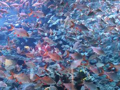 -成都浩海立方海洋公园