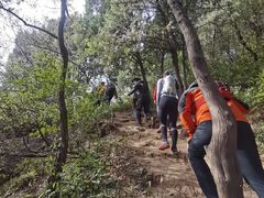 -北京鹫峰国家森林公园