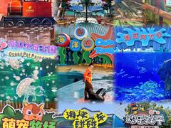 -海合安武汉极地海洋公园