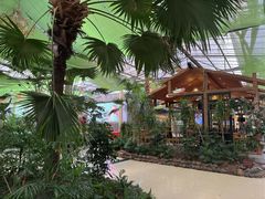 -陶然居·重庆菜(生态园店)