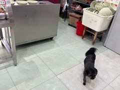 -晓马鸭店(新芜路店)