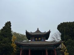 -西安碑林博物馆